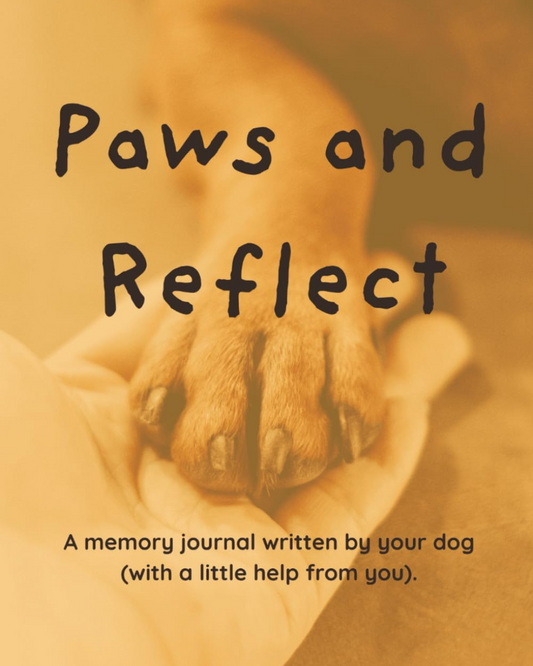 Baxter’s Big Adventure: From Pup to Published Author