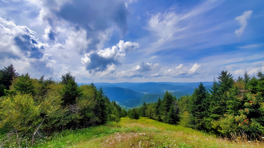 Ain't Nowhere Like Appalachia