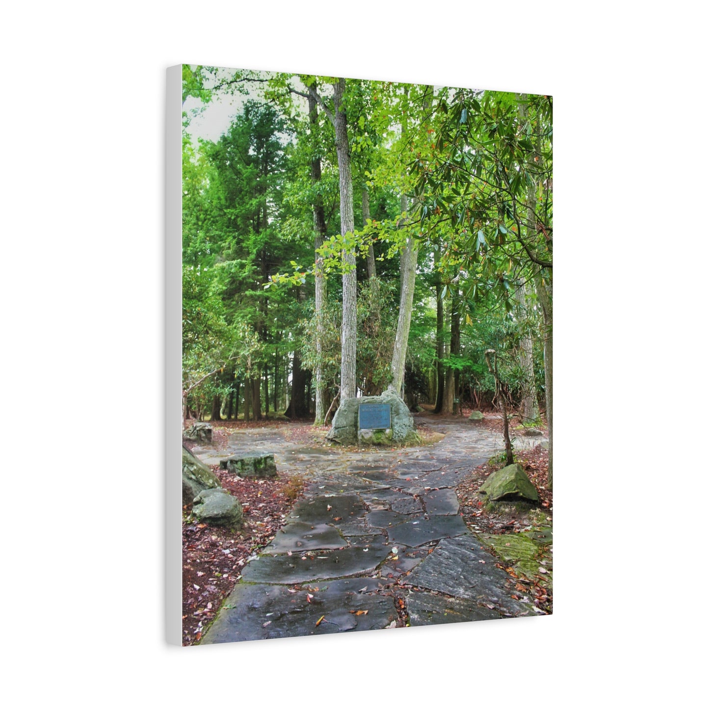 Coopers Rock in West Virginia Matte Canvas