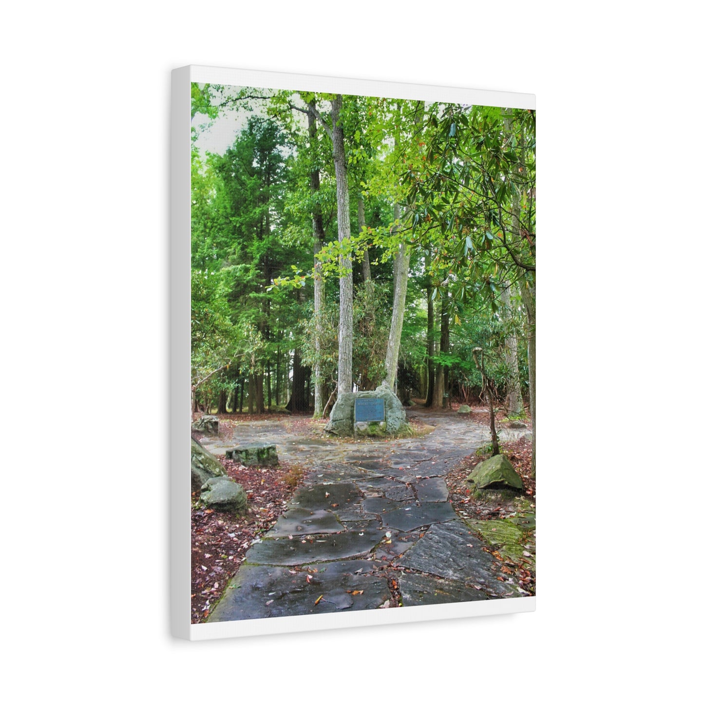Coopers Rock in West Virginia Matte Canvas