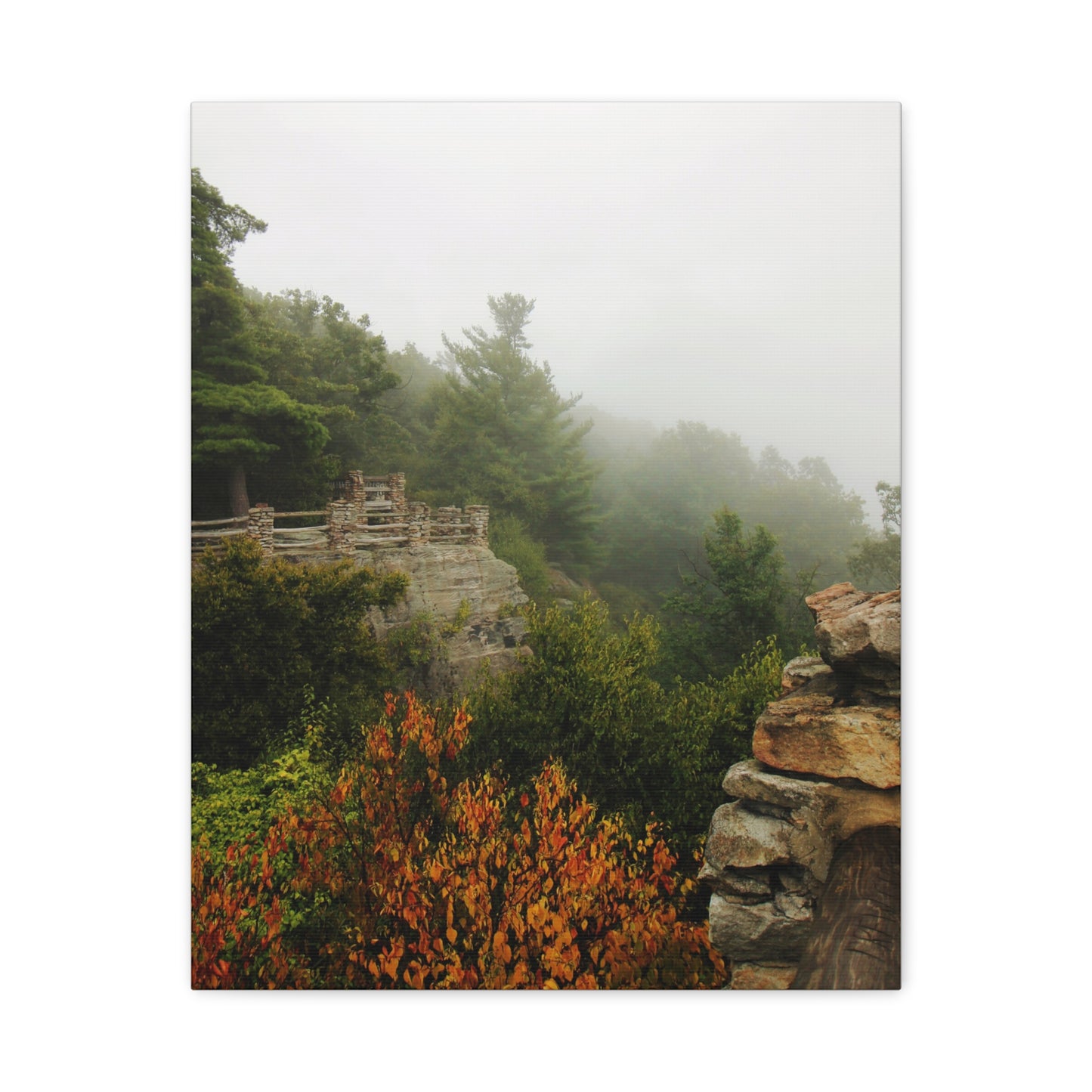 Coopers Rock in West Virginia Matte Canvas