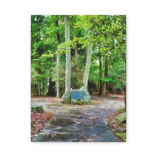 Coopers Rock in West Virginia Matte Canvas