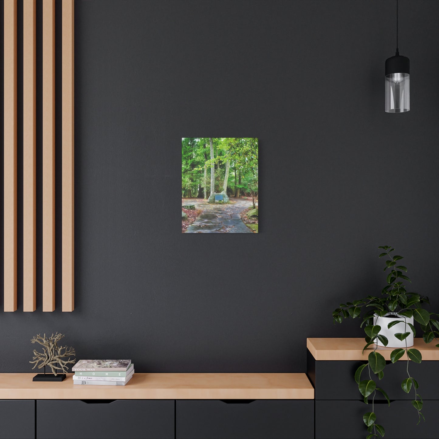 Coopers Rock in West Virginia Matte Canvas