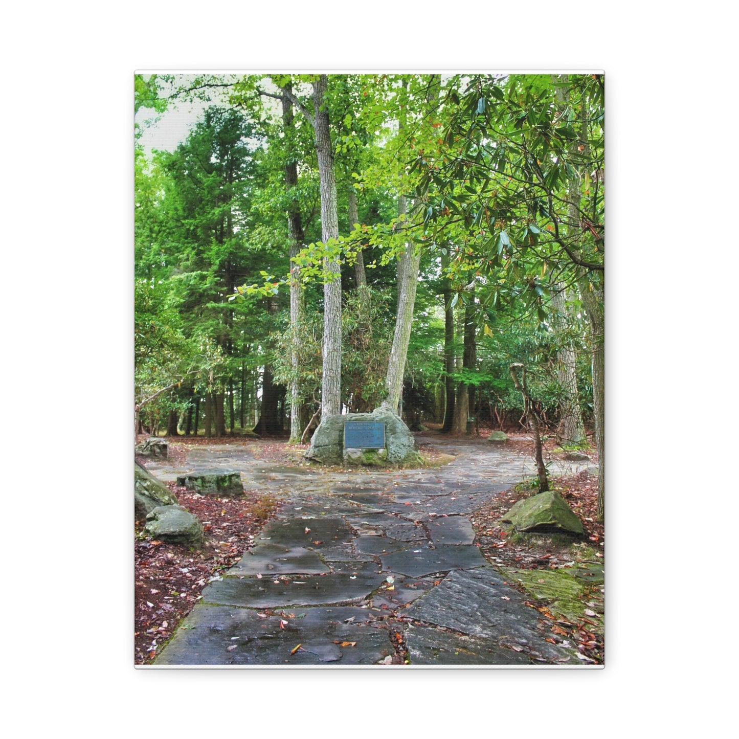 Coopers Rock in West Virginia Matte Canvas