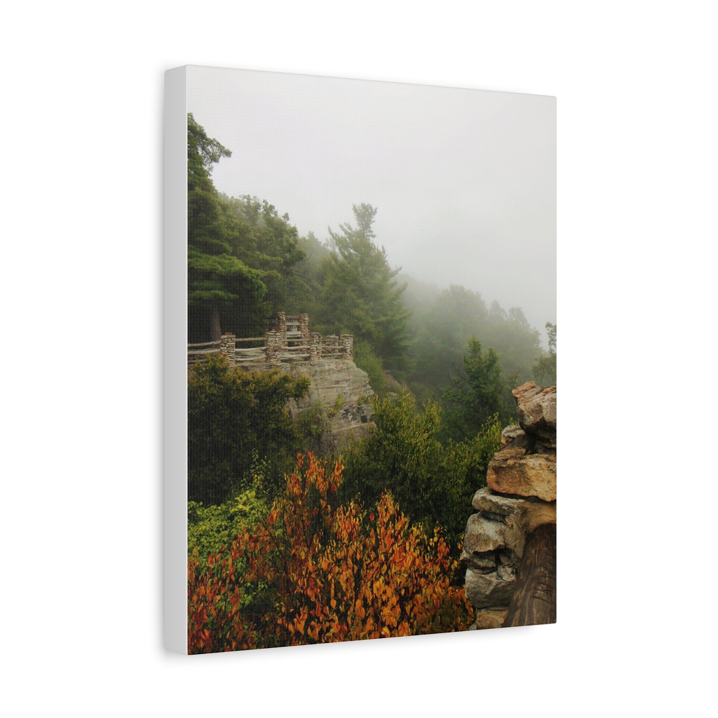 Coopers Rock in West Virginia Matte Canvas