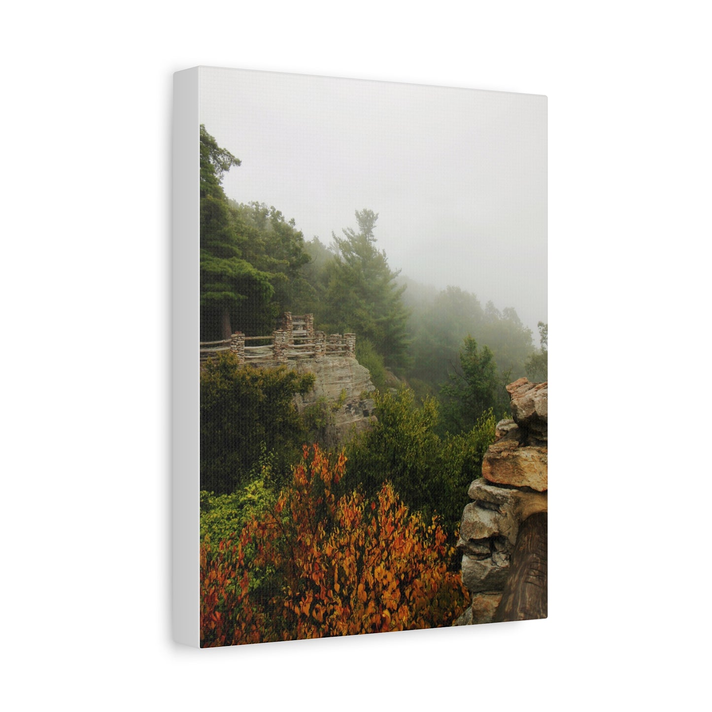 Coopers Rock in West Virginia Matte Canvas