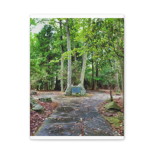 Coopers Rock in West Virginia Matte Canvas