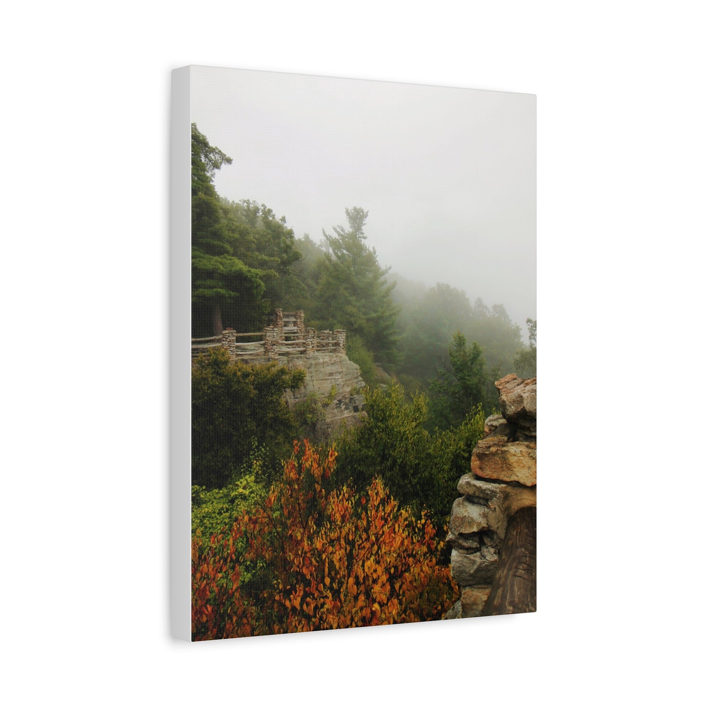 Coopers Rock in West Virginia Matte Canvas
