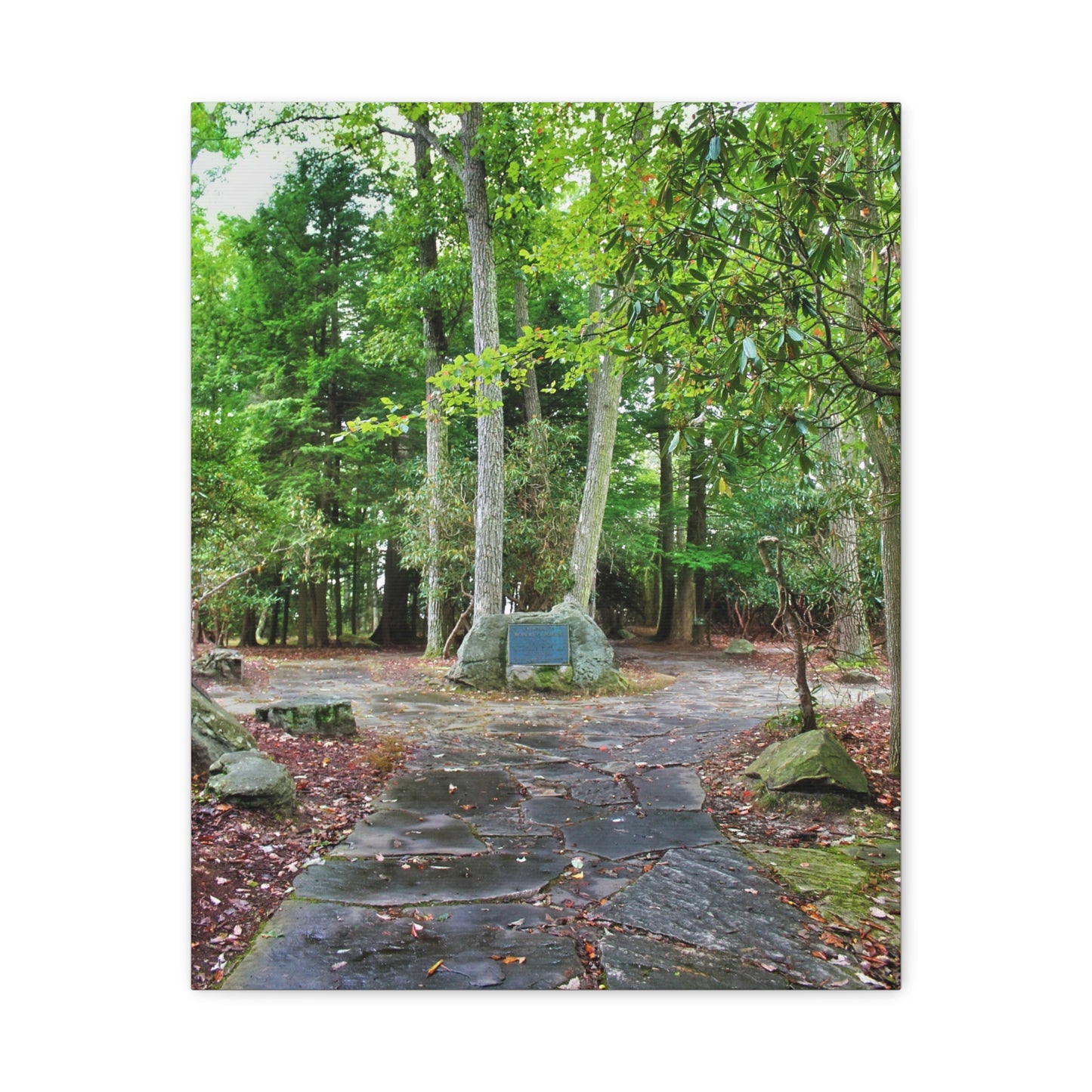 Coopers Rock in West Virginia Matte Canvas