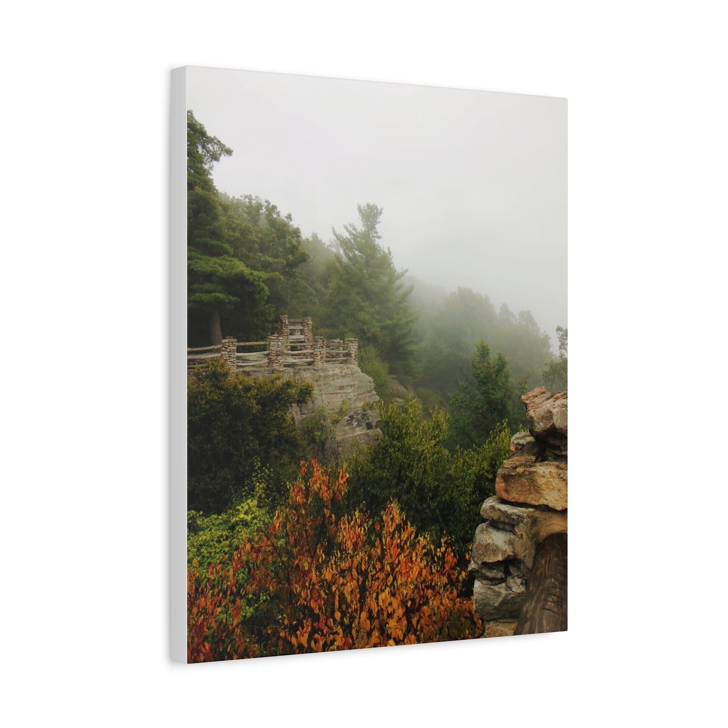 Coopers Rock in West Virginia Matte Canvas