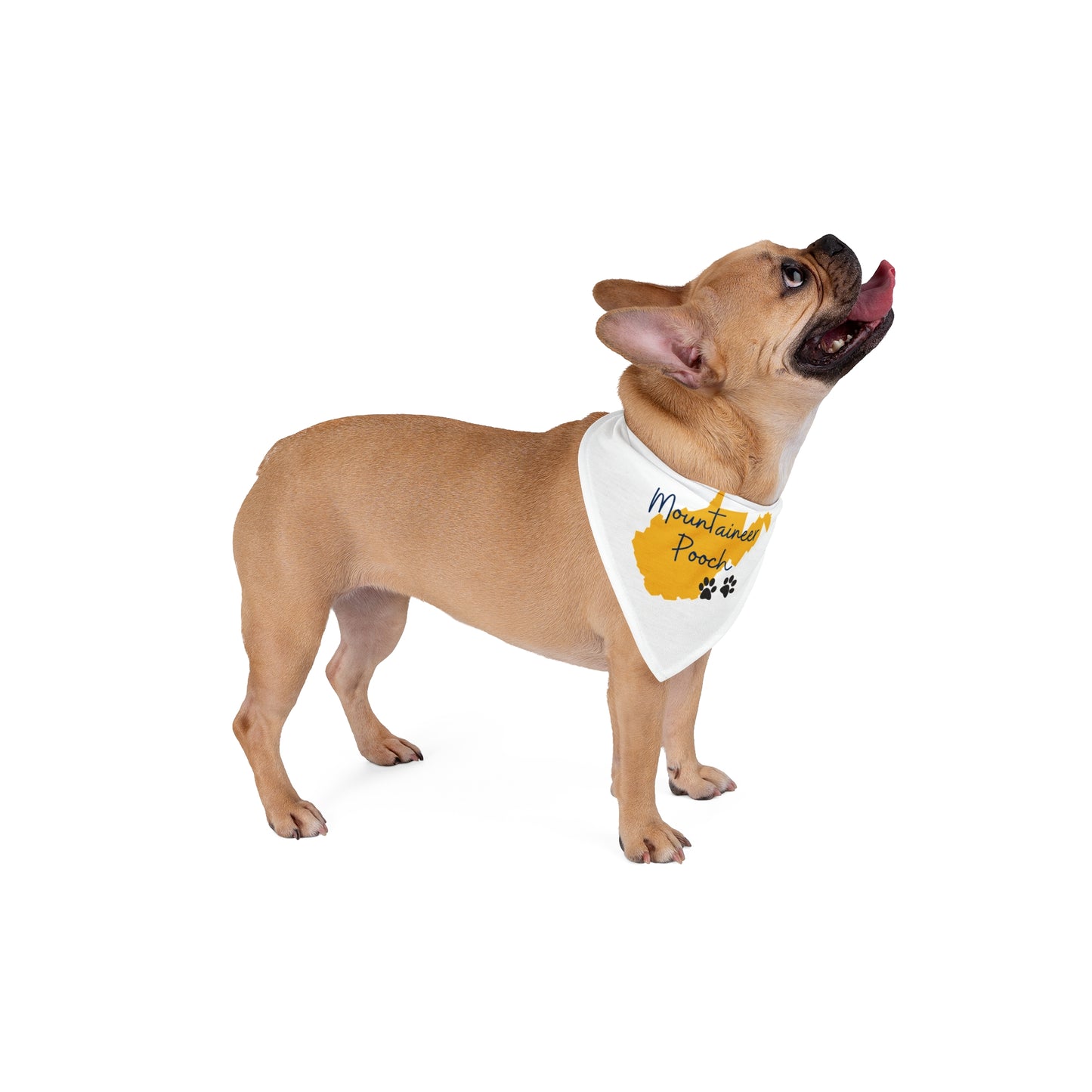 Pet Bandana - Dogs Are Proud West Virginians, Too