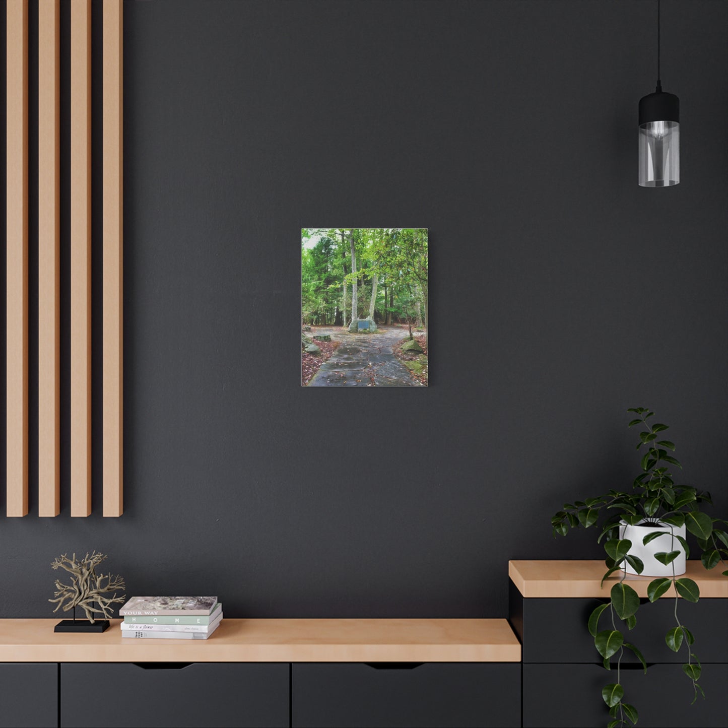 Coopers Rock in West Virginia Matte Canvas