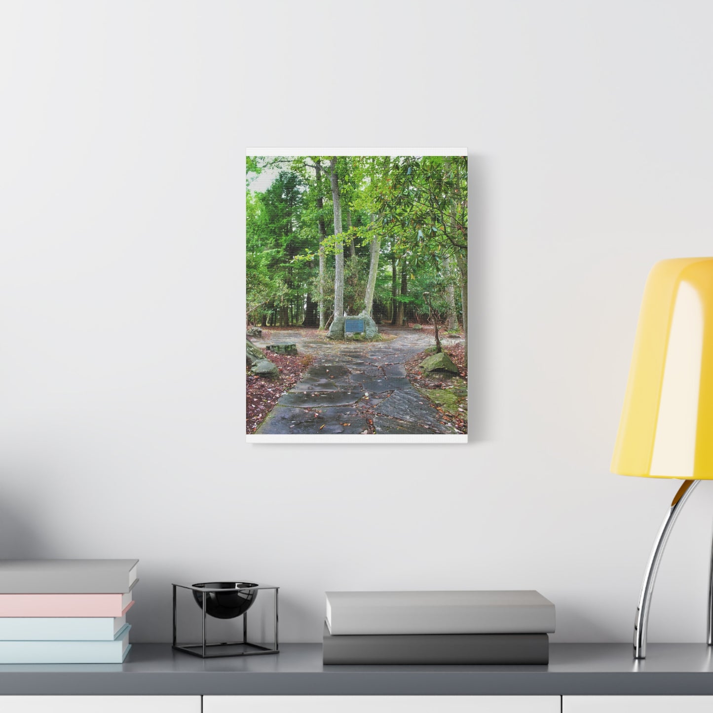 Coopers Rock in West Virginia Matte Canvas