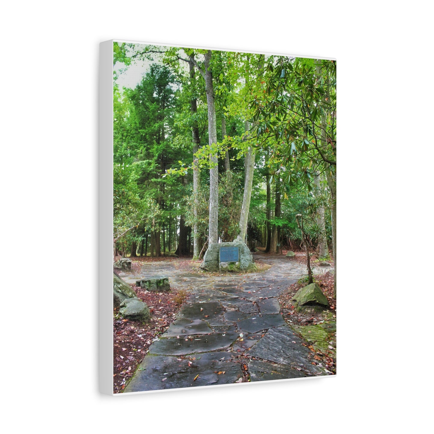 Coopers Rock in West Virginia Matte Canvas