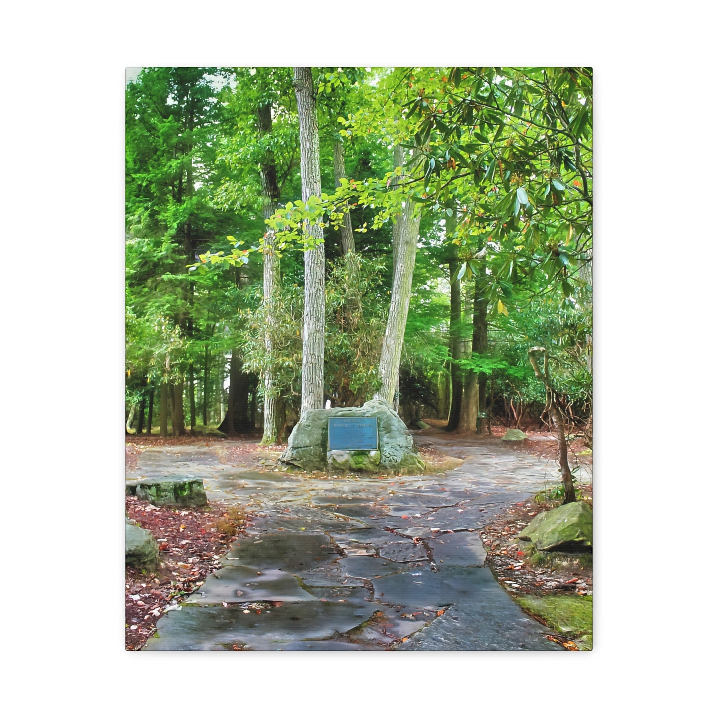 Coopers Rock in West Virginia Matte Canvas
