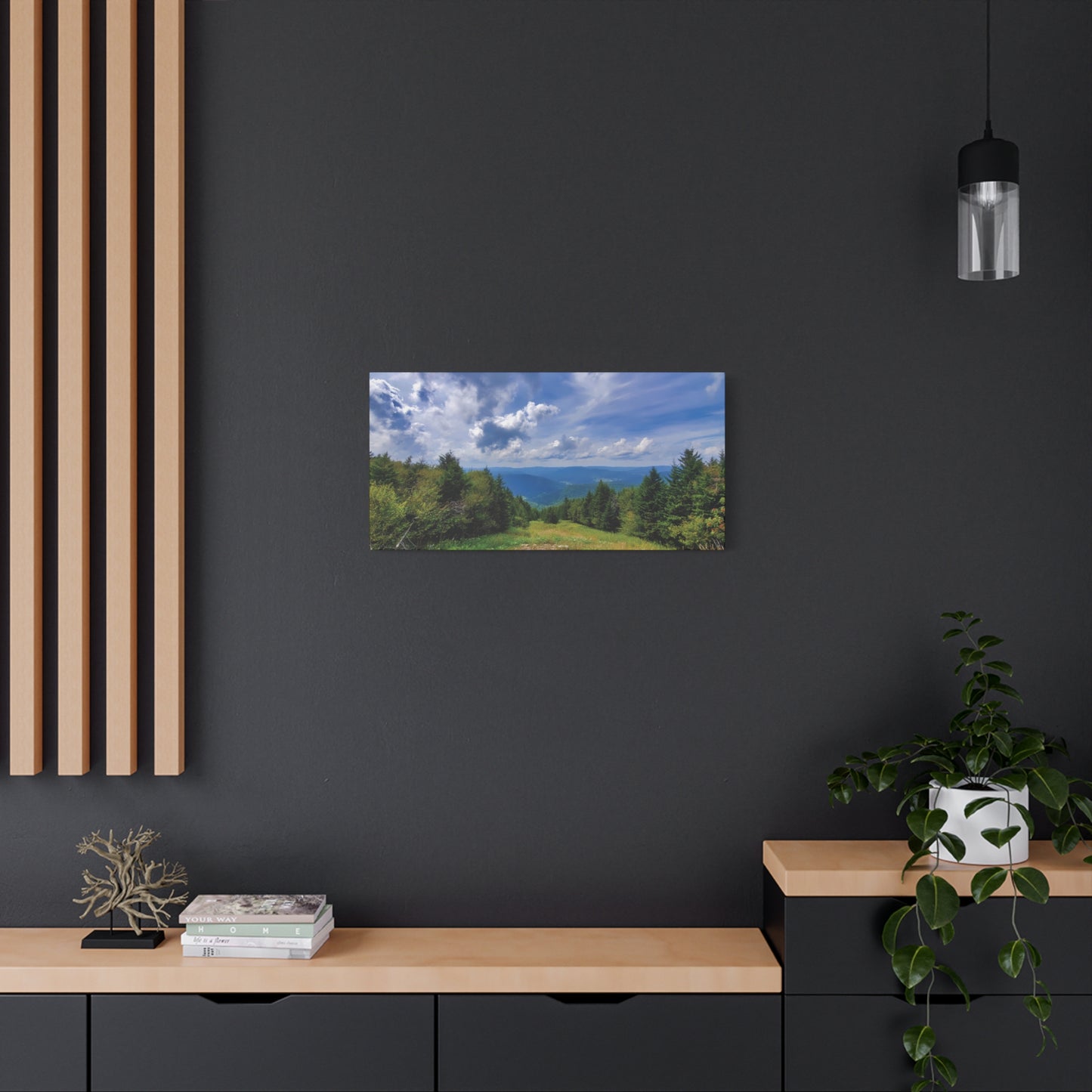 Snowshoe Mountain, West Virginia Canvas Wall Art
