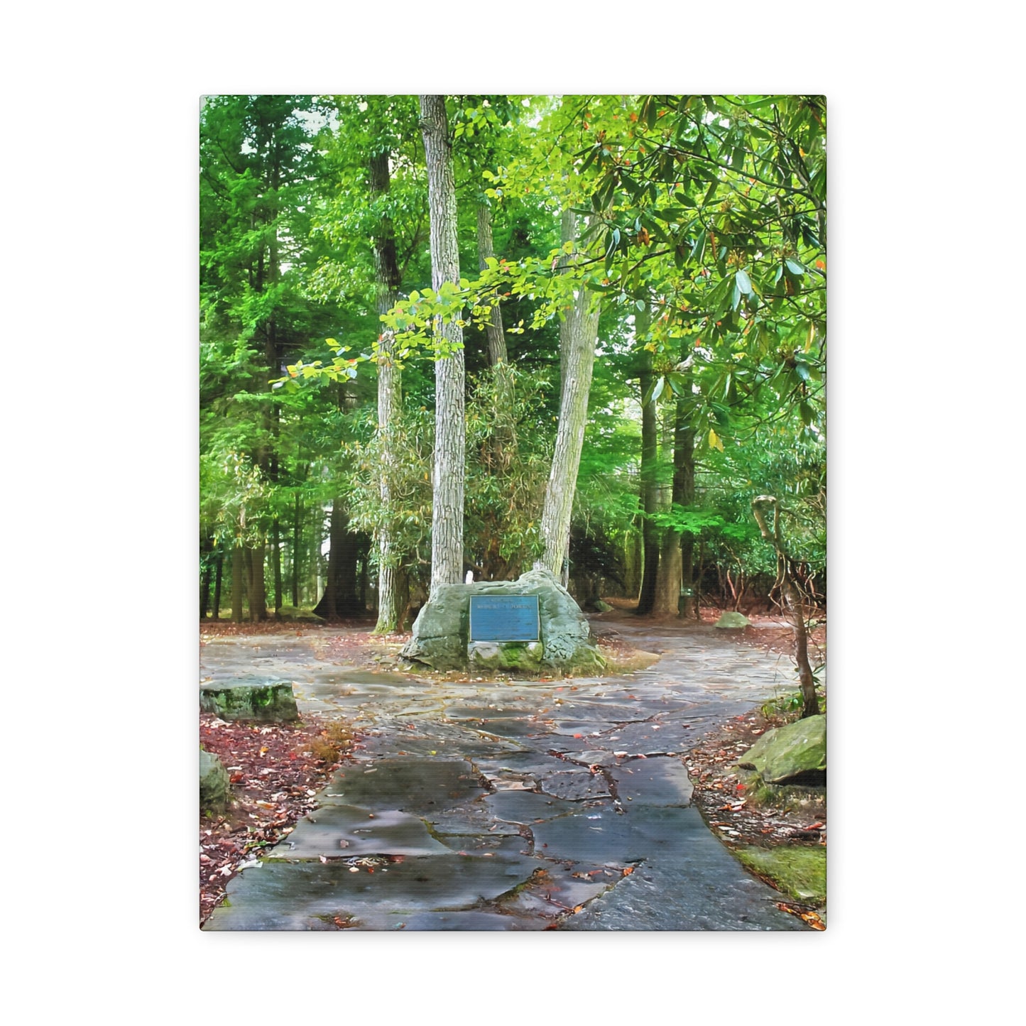 Coopers Rock in West Virginia Matte Canvas