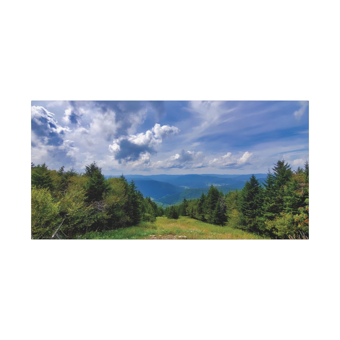 Snowshoe Mountain, West Virginia Canvas Wall Art