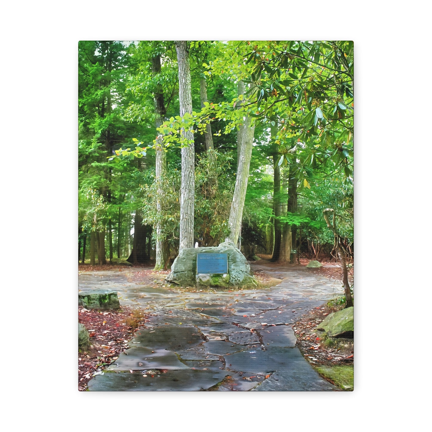 Coopers Rock in West Virginia Matte Canvas