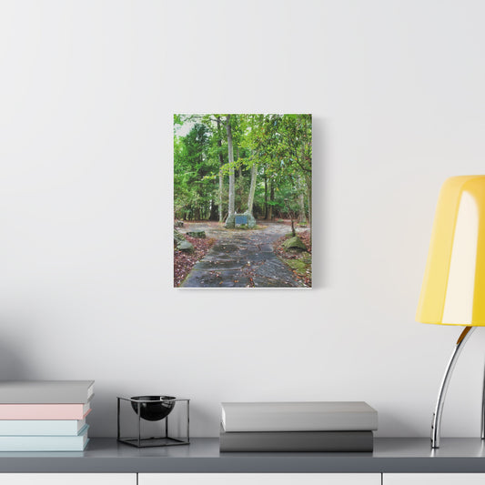 Coopers Rock in West Virginia Matte Canvas