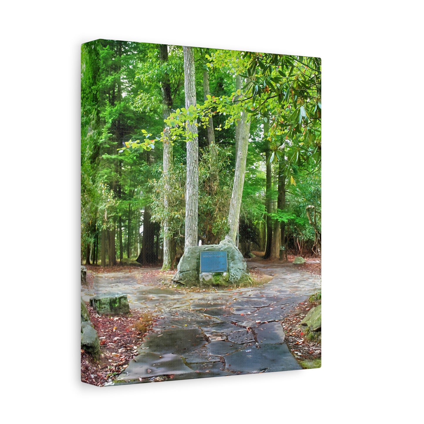 Coopers Rock in West Virginia Matte Canvas
