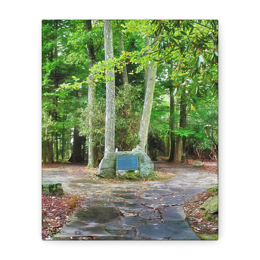 Coopers Rock in West Virginia Matte Canvas