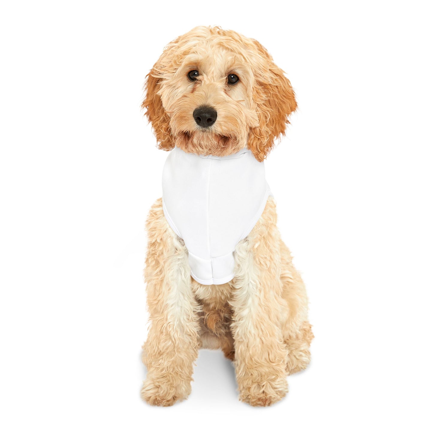 West Virginia Pet Hoodie