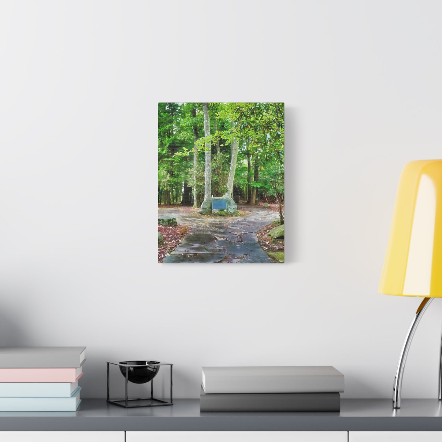Coopers Rock in West Virginia Matte Canvas