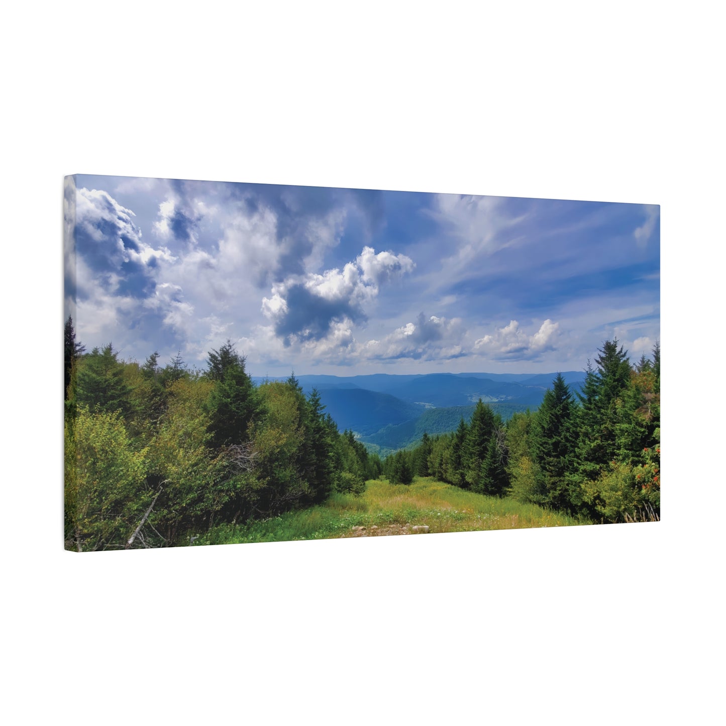 Snowshoe Mountain, West Virginia Canvas Wall Art