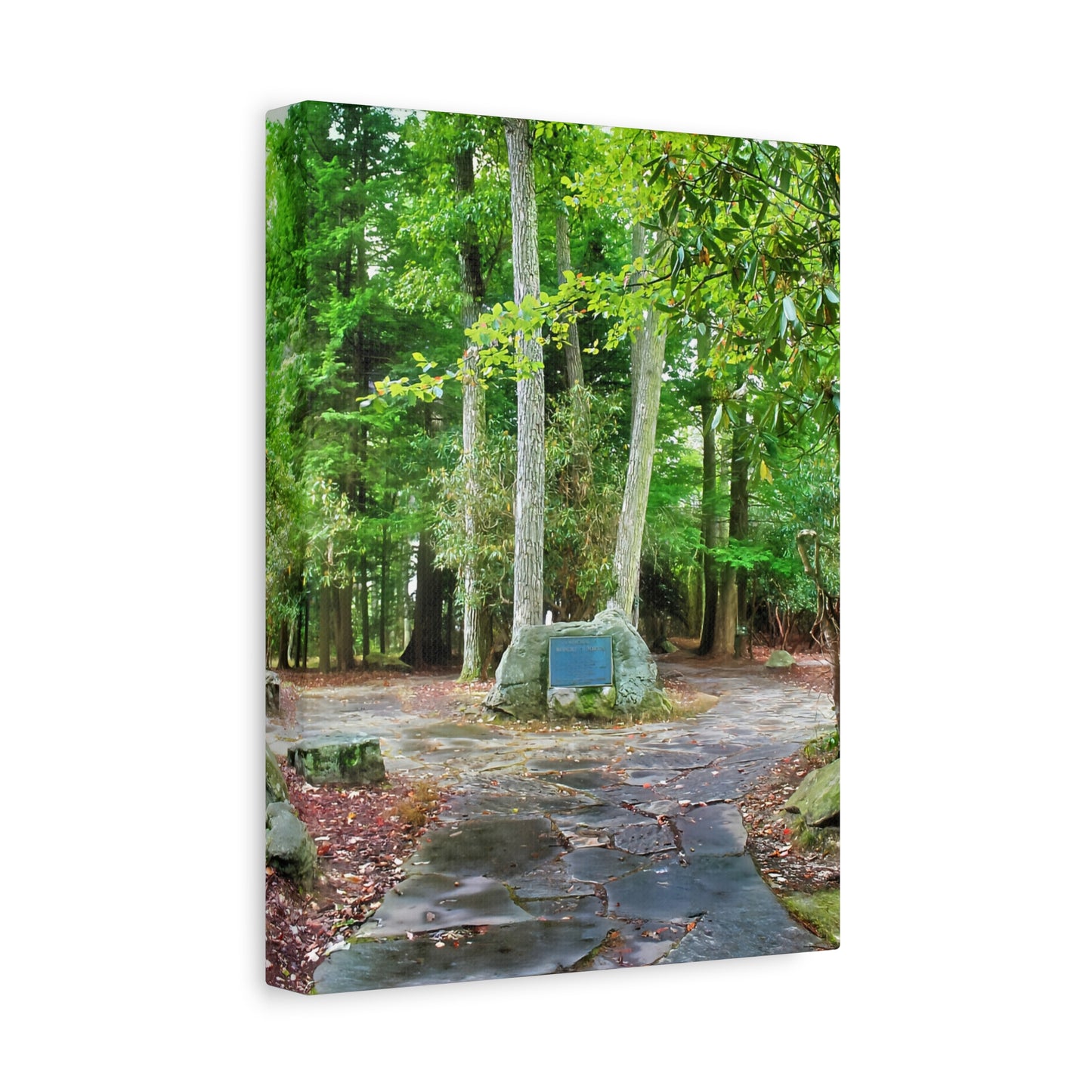 Coopers Rock in West Virginia Matte Canvas