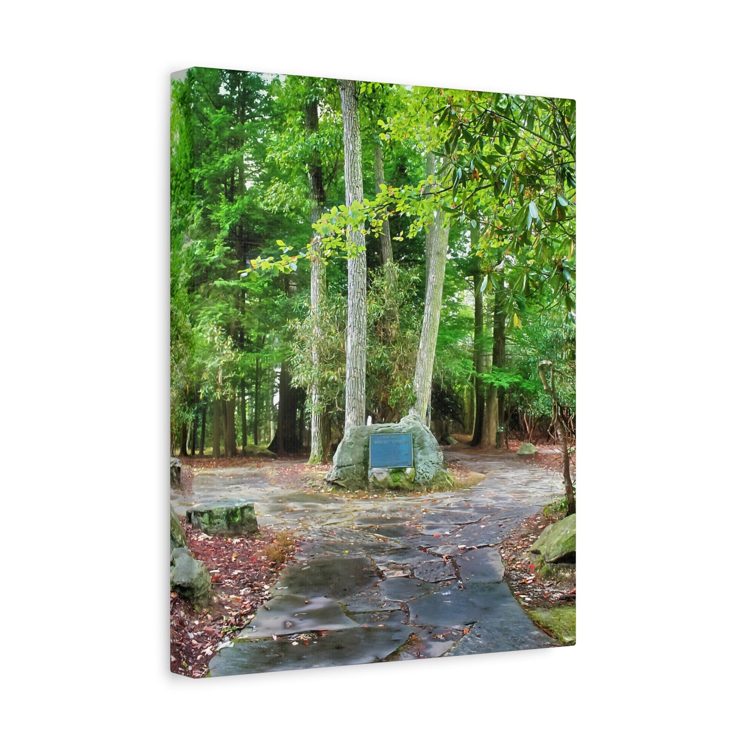 Coopers Rock in West Virginia Matte Canvas