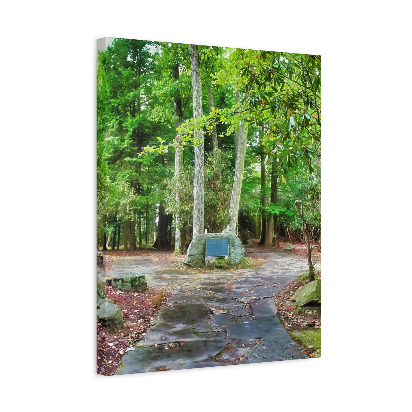 Coopers Rock in West Virginia Matte Canvas