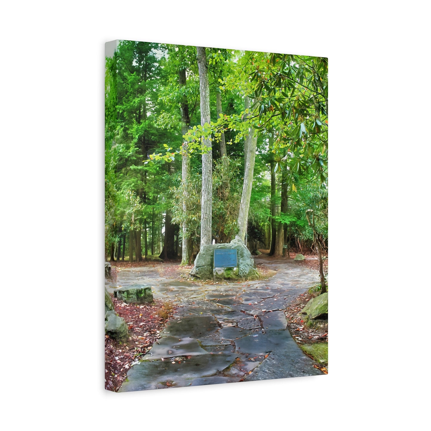 Coopers Rock in West Virginia Matte Canvas