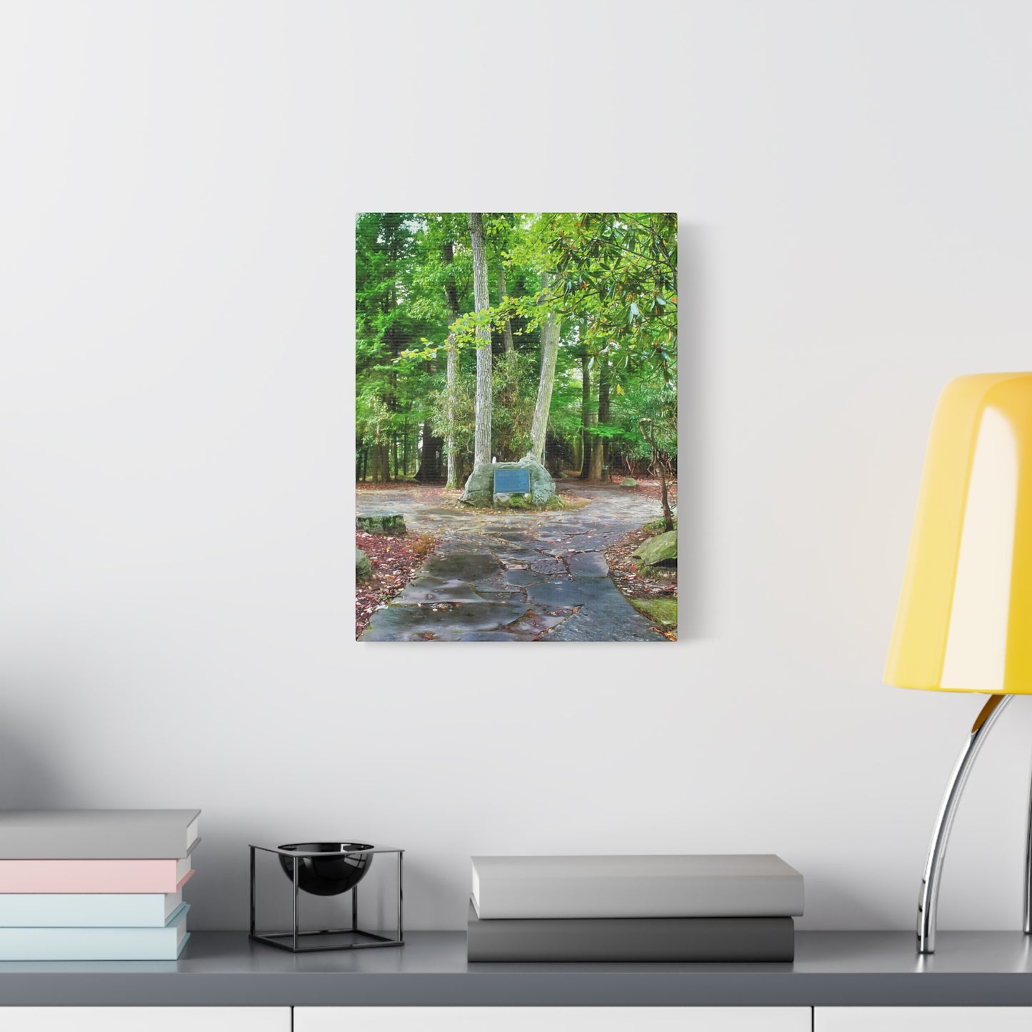 Coopers Rock in West Virginia Matte Canvas